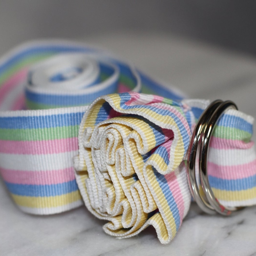 Multi Color Belt - Picture 7 of 7